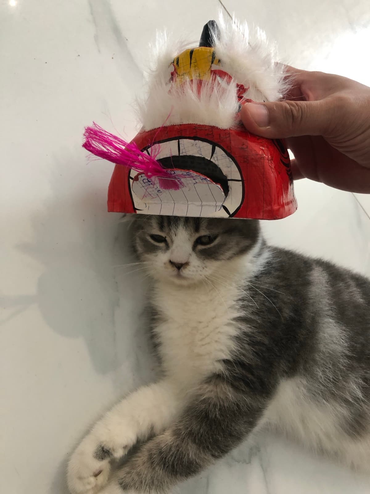 Gray tabby kitten wearing a handmade red dragon headpiece