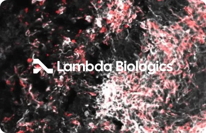 The white logo lost over a busy micrograph
