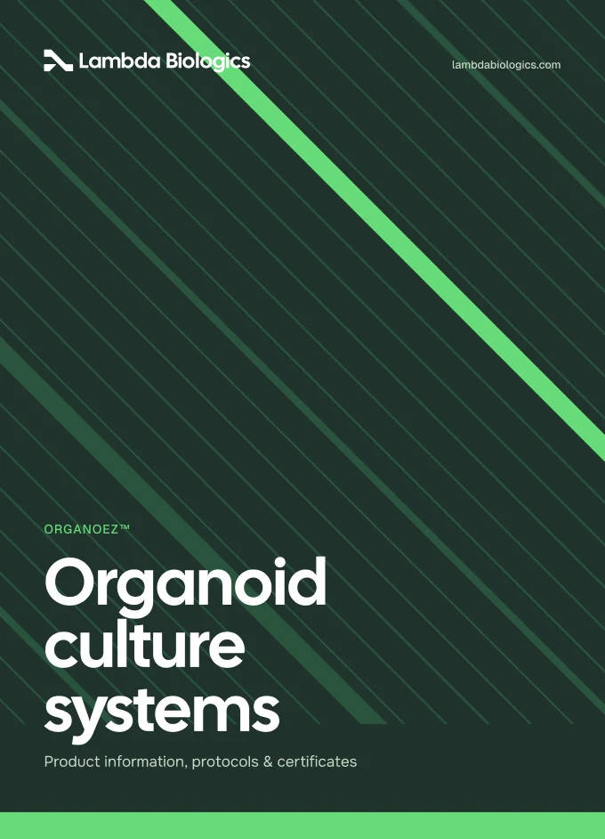 Presentation folder cover in Deep Bio Green with the Lines pattern and the title 'Organoid culture systems'