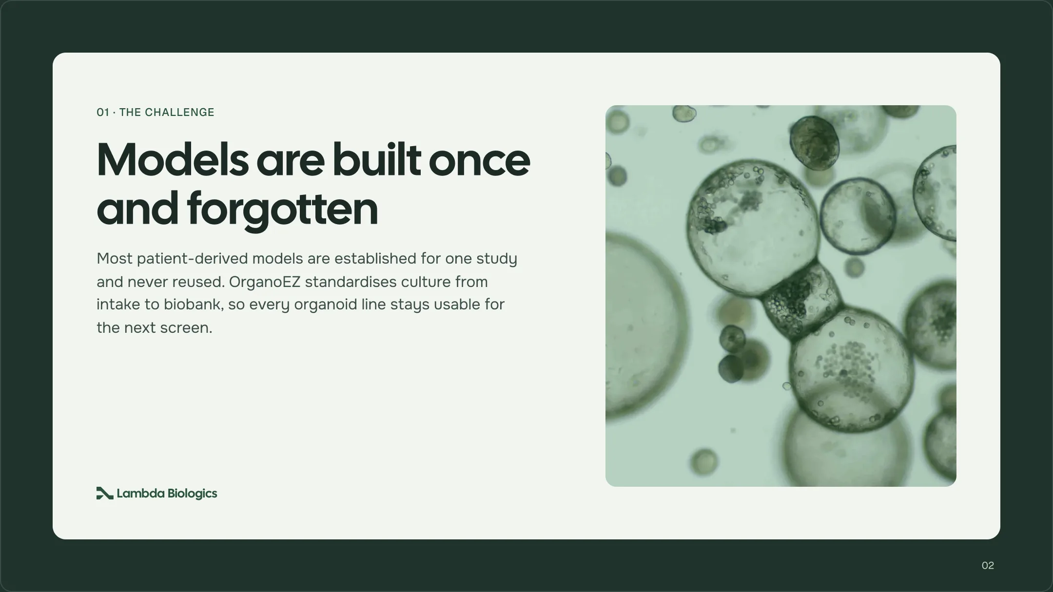 Content slide: a paper card on Deep Bio Green headed '01 · The challenge — Models are built once and forgotten', with a micrograph of organoids