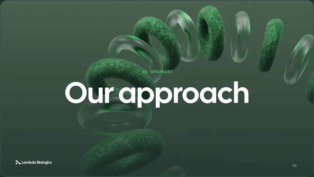 Divider slide: 'Our approach' over a green-graded render of rings